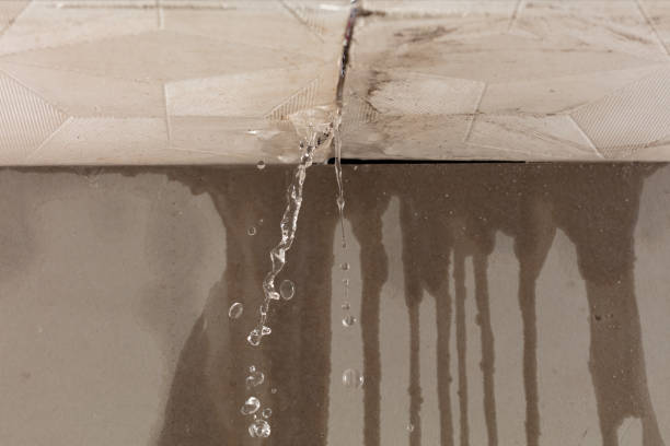 Professional Burst Pipe Cleanup technician working in Ferndale, CA